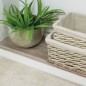 Preview: d-c-fix Klebefolie Pino Aurelio Hell, 45 cm x 2 m, selbstklebende Deko-Folie für Möbel, F3460663